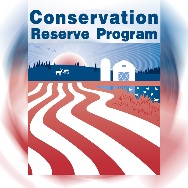 USDA Announces Conservation Reserve Program SignUp Agriculture in Cattaraugus County, NY
