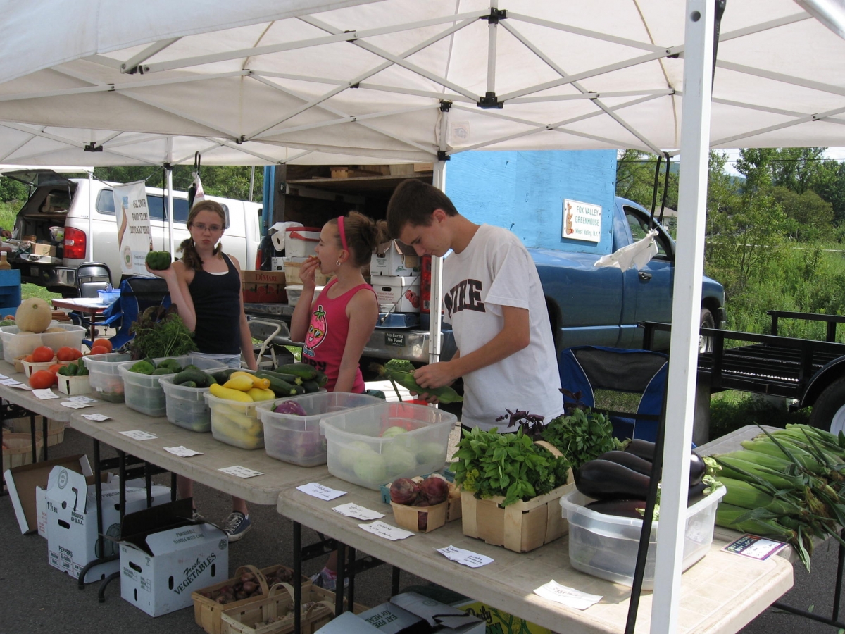 Chuck Couture's grandkids keeping morale up at the Farmers Market in Olean (2011)